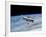 Hubble Space Telescope in Orbit Around Earth-Stocktrek Images-Framed Photographic Print