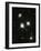 Hubble Space Telescope's 100,000th Image-null-Framed Photographic Print