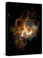 Hubble Space Telescope View of Nebula NGC 604-null-Stretched Canvas