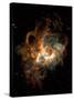 Hubble Space Telescope View of Nebula NGC 604-null-Stretched Canvas