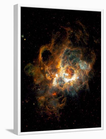 Hubble Space Telescope View of Nebula NGC 604-null-Framed Photographic Print