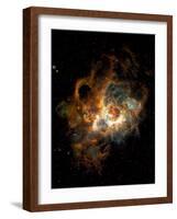 Hubble Space Telescope View of Nebula NGC 604-null-Framed Photographic Print