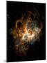 Hubble Space Telescope View of Nebula NGC 604-null-Mounted Photographic Print