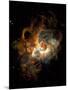 Hubble Space Telescope View of Nebula NGC 604-null-Mounted Photographic Print