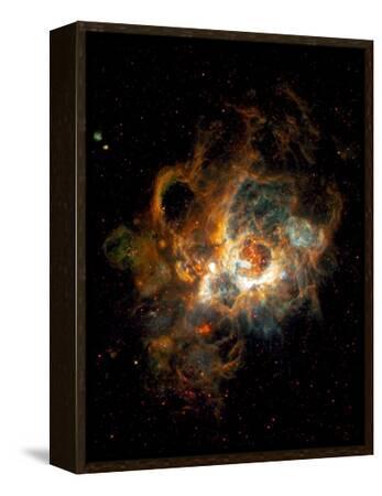 Hubble Space Telescope View of Nebula NGC 604' Photographic Print