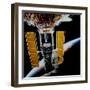 Hubble Space Telescope-Stocktrek Images-Framed Photographic Print