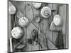 Hubcaps, 1940-Brett Weston-Mounted Photographic Print