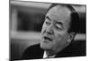 Hubert Humphrey (Portrait) Art Poster Print-null-Mounted Poster