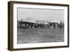 Hubert Latham Prepares to Take Off after Louis Bleriot, Near Calais, France, 25 July 1909-null-Framed Giclee Print