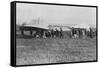 Hubert Latham Prepares to Take Off after Louis Bleriot, Near Calais, France, 25 July 1909-null-Framed Stretched Canvas