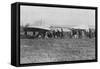 Hubert Latham Prepares to Take Off after Louis Bleriot, Near Calais, France, 25 July 1909-null-Framed Stretched Canvas