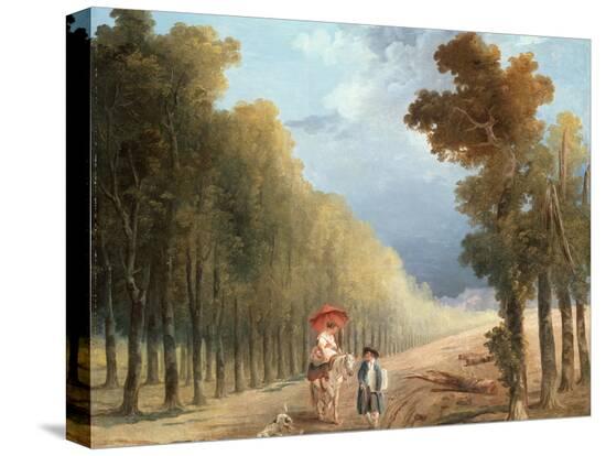 Stretched Canvas Print, , large