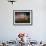 Huckleberries-Ursula Abresch-Framed Photographic Print displayed on a wall