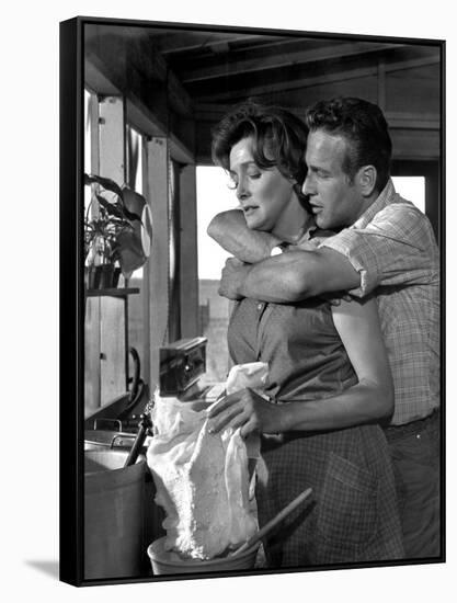 HUD, 1963 directed by MARTIN RITT Paricia Neal / Paul Newman (b/w photo)-null-Framed Stretched Canvas