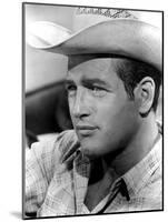 Hud, Paul Newman, 1963-null-Mounted Photo