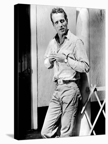 Hud, Paul Newman, 1963-null-Stretched Canvas