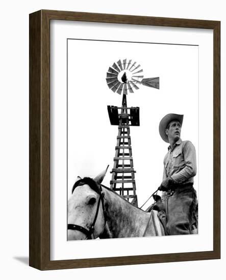 Hud, Paul Newman, 1963-null-Framed Photo