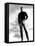 Hud, Paul Newman, 1963-null-Framed Stretched Canvas