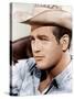 Hud, Paul Newman, 1963-null-Stretched Canvas