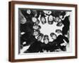 Brown Frame