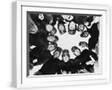 White Frame