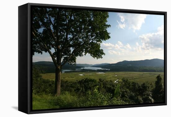 Hudson Highlands Tree Boscobell-Robert Goldwitz-Framed Stretched Canvas