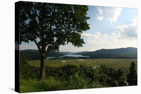 Hudson Highlands Tree Boscobell-Robert Goldwitz-Stretched Canvas