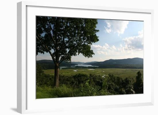 Hudson Highlands Tree Boscobell-Robert Goldwitz-Framed Photographic Print