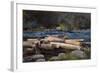 Hudson River, 1892-Winslow Homer-Framed Giclee Print