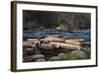 Hudson River, 1892-Winslow Homer-Framed Giclee Print