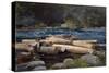 Hudson River, 1892-Winslow Homer-Stretched Canvas
