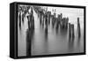Hudson River Pilings-Bill Carson Photography-Framed Stretched Canvas