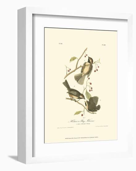 Hudson's Bay Titmouse-John James Audubon-Framed Art Print