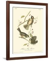 Hudson's Bay Titmouse-John James Audubon-Framed Art Print