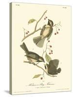 Hudson's Bay Titmouse-John James Audubon-Stretched Canvas