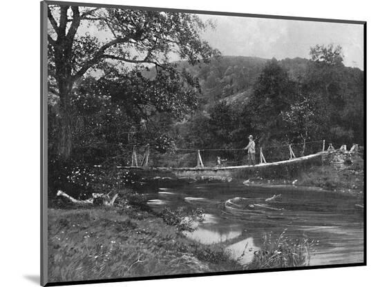 Photographic Print, , large