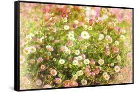 Hue-Viviane Fedieu Daniel-Framed Stretched Canvas