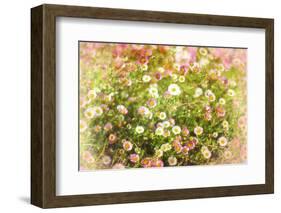 Hue-Viviane Fedieu Daniel-Framed Photographic Print