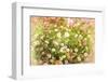 Hue-Viviane Fedieu Daniel-Framed Photographic Print