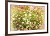 Hue-Viviane Fedieu Daniel-Framed Photographic Print