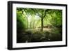 Huelgoat Forest Bretagne-Philippe Manguin-Framed Photographic Print