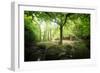 Huelgoat Forest Bretagne-Philippe Manguin-Framed Photographic Print