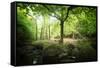 Huelgoat Forest Bretagne-Philippe Manguin-Framed Stretched Canvas