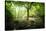 Huelgoat Forest Bretagne-Philippe Manguin-Stretched Canvas