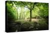 Huelgoat Forest Bretagne-Philippe Manguin-Stretched Canvas