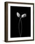 Hug-Tony Xu-Framed Photographic Print