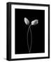 Hug-Tony Xu-Framed Photographic Print