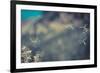 Huge 6 Inch Dandelions Drifting in the Wind at the Base of Maroon Bells. Aspen, Colorado-Brad Beck-Framed Photographic Print