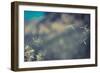 Huge 6 Inch Dandelions Drifting in the Wind at the Base of Maroon Bells. Aspen, Colorado-Brad Beck-Framed Photographic Print