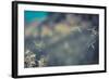 Huge 6 Inch Dandelions Drifting in the Wind at the Base of Maroon Bells. Aspen, Colorado-Brad Beck-Framed Photographic Print